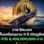 วาฬ Bitcoin เก็บเหรียญนาน 11 ปี เปิดดูอีกทีกำไร 8,400 ล้านบาท